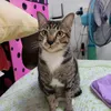 dywx0bnwpjfg