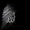 mhmdrslan588gmail.com