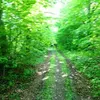 jacektyzlik