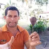 3dsonfrais