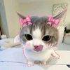 beautiful_naa061