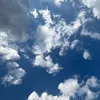 connecte_1245