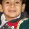 alinaser6240