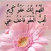 user244505765021