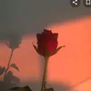 a_____3600