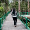 rinitaniaa