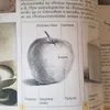 dimitarpenev377