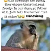 kwame_atuapem