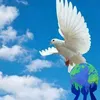 samsam1234554765
