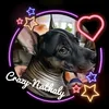crazy_crested