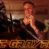 epicgrayfox