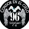 condor.en.el.cielo