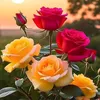 safwane141