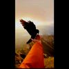 haider_mir1