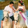sajedhashem856