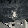 mahaalshammri6
