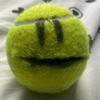 thetalkingtennisball