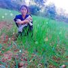 dilmayatularam