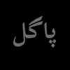 shahbazraja016