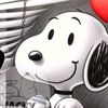 www.tiktok.comlesly93