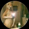 .danni1997