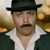 alex_8241