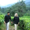 sopiah05ade