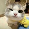 aprillllllll33