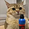 3keke31