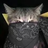 jilliardnashcatindig