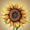 sunflower_ax