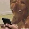 leave_me_alone_ahhh