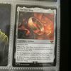 cardmosquito