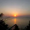 neletoe_