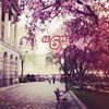 _yassamin2