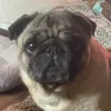 nursegreggo