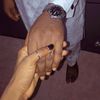 mrssunusi38