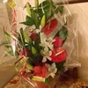 faridaaggoun6