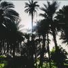 rumissaaalradi