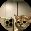 nicolle_11y_