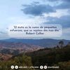 12estrella211