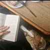 whippet_and_paperpages
