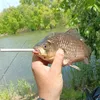fisherzov_wtf