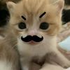 ilikejapan_