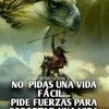 angelsalazar13227