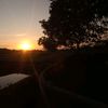 oriza_dyaz03
