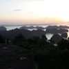 ttthanh1989