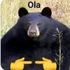 sra.carpincho