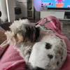 martaa_737