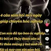 mylove_anhduong